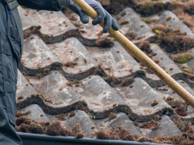Roof moss removal company Farnborough